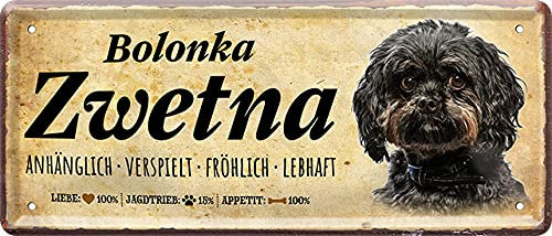 Lustiges Deko Hunde-Rassen Steckbrief Blech-Schild Blechschilder Dog (28 x 12 cm, Bolonka Zwetna Braun - Anhänglich Verspielt Fröhlich Lebhaft 2276)