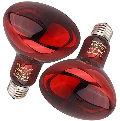 DERNORD Reptilien Rotlichtlampe Birne - 100 Watt R80 Infrarotlampe Rotlichtlampe Wärmelampe Tiere für Urzeitkrebse Schildkröten Vogelspinne Vivarium 2 Pack