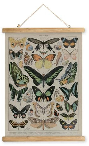 XIAOAIKA Affiche Vintage de Papillons avec Cadre en Bois, Décoration Murale de Style Rétro Peinture Artistique, Motifs Imprimés sur Toile sans Décoloration, Prête à Suspendre (40x58cm)