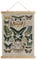 XIAOAIKA Affiche Vintage de Papillons avec Cadre en Bois, Décoration Murale de Style Rétro Peinture Artistique, Motifs Imprimés sur Toile sans Décoloration, Prête à Suspendre (40x58cm)