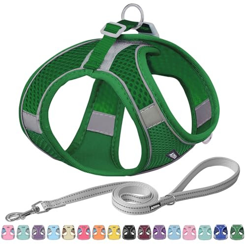 AIITLE Step in Dog Harness and Leash Set - No Pull Escape Proof Vest Harnesses with Soft Mesh and Reflective Bands, Adjustable Pet Outdoor Harnesses for Small and Medium Dogs Green M