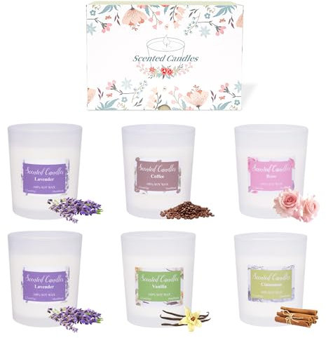 Toptime 6 Pack Scented Candles, Nature Soy Candles Wax of Vanilla Lavender Coffee Cinnamon Rose Fragrance, 62g Aromatherapy Candle Jars for Women, 72h Burn Time Gift Candles Set for Birthday Christmas