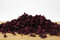 TierFit Rote Beete Würfel getrocknet 5 kg zur Fleischfütterung glutenfrei Naturprodukt Hundefutter Barf
