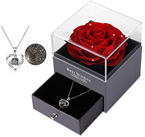 Eaprala Ewige echte Rose mit I Love You Halskette 100 Sprachen Schmuck Geschenkbox Ewige echte Rose für Valentinstag Muttertag Hochzeit Jahrestag Geburtstag Geschenk für sie (Kristall Rot)