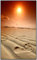 Ecowelle Infrarotheizung mit Bild | 900 Watt | 60x120 cm | Infrarot Heizung| | Made in Germany| d 2 Sonnenuntergang am Strand