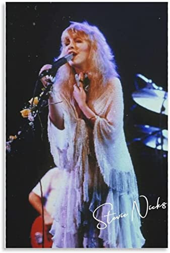 GemäLde Auf Leinwand Kein Rahmen 30x50cm Stevie Nicks 1 Poster, Gemälde Zum Aufhängen, Dekoratives Gemälde, Leinwandgemälde, Wandkunst Für Büro, Heimdekoration