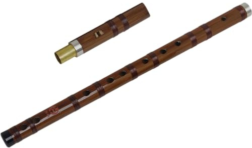 ibasenice Bambusflöte Abnehmbar Chinesisches Blasinstrument Tragbare Flöte Im Antiken Stil Für Erwachsene Und Übung Professionelle Übungsflöte Mit Ausgezeichneter Klangfarbe Und Verarbeitung