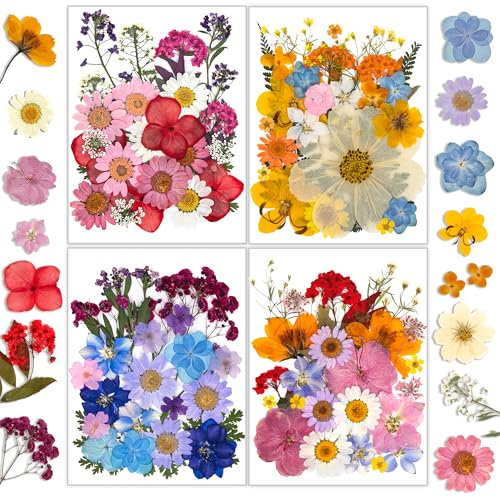 Resiners 100 Stück Bunt Getrocknete Blumen Natürliche Gepresste Getrocknete Blumen Blätter für Harz Schmuck Machen, DIY Kerzen, Anhänger, Handyhüllen, Fotorahmen, Bath Bombs, Scrapbook
