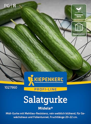 Kiepenkerl Profi-Line Salatgurkensamen Midele 1027960 – Bitterfreie, kernarme Gurkensamen für knackige, fruchtig-süße Midi-Gurken, robuste Gemüsesamen