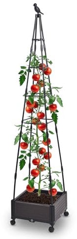 Gartenwelt Riegelsberger Jardinera con ruedas con ayuda para enredaderas en forma de pirámide, 41 x 41 x 200 cm, maceta para plantas trepadoras