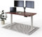 DESKSPACE PRO Elektrisch höhenverstellbarer Schreibtisch - 140x70 cm Mahagoni Tischplattem, Ergonomischer Stehpult mit Memory Funktion & Kollisionschutz, Weißes elektrisches Gestell mit Ladebuchse
