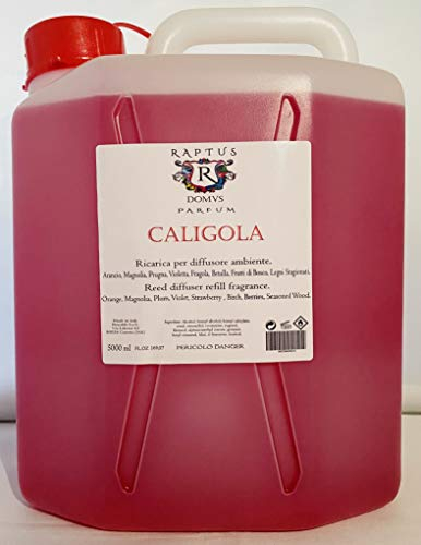 RAPTUS RICARICA PROFUMATORE AMBIENTE CALIGOLA 5 LITRI
