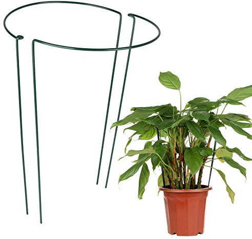 RTWAY Lot de 2 piquets de support semi-circulaires en métal pour plantes de jardin - Support de pivoine pour petites plantes en pot d'intérieur - 30 x 49,8 cm