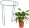 RTWAY Lot de 2 piquets de support semi-circulaires en métal pour plantes de jardin - Support de pivoine pour petites plantes en pot d'intérieur - 30 x 49,8 cm