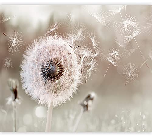 murando - Vlies Fototapete Pusteblumen 350x256cm - Foto Tapete Schlafzimmer Wohnzimmer Vliestapete XXL Wandtapete Motivtapeten Bildtapete 3d Effekt Wand Dekoration - Blumen Natur Abstrakt b-C-0960-a-a