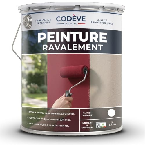 Peinture Ravalement - Codeve Bois/RAL 6021 - Vert pâle - 20L - Intérieur/extérieur - Pour La Protection De Votre Façade, Mur, Béton, Crépi Ou Enduit.