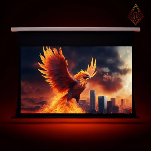 71-110 Projector Screen Descending LT ALR - bespoke build