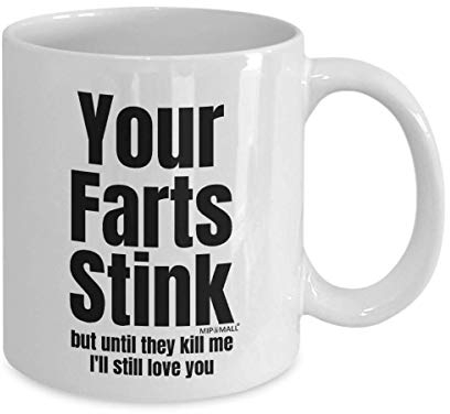MIPOMALL Fathers Day Gift for Him, Your Fart Stinks, Valentines Gifts for him her, Husband Dad, I Love You, from Daughter Son Wife, Birthday Gifts, Funny Coffee Mug Tea Cup, Present - wm2986