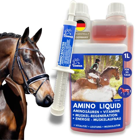 Amino Liquid & Paste I Aminosäuren Pferd L Carnitin Vitamin B komplex I Zusatzfutter Vitamin B12 Zink Pferd I Muskelaufbau Pferde Regeneration Muskeln alternativ Muskel Protein Pulver Pferde 1L 30ml