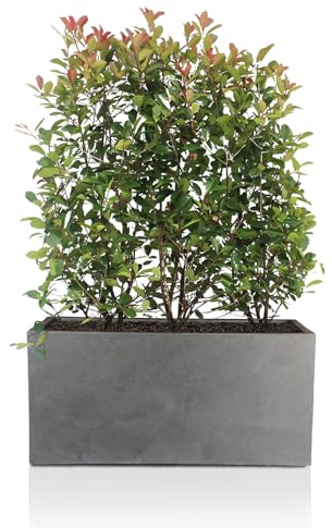 IDEALIST Large Plant Pots 85cm Trough Planter, Grey Reinforced Stone, 91L