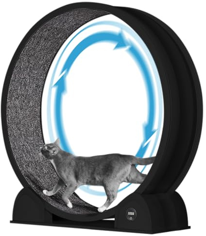 GarveeHome XL Katzenlaufrad 103cm mit Schrittzähler & Kratzbrett - Super Leises Laufrad für Große Katzen bis 12kg, Abnehmbarer Teppich, Ideal für Gewichtsreduktion und Gesundheit - B