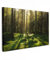 MuchoWow© Wandbilder 90x60 cm Schlafzimmer Home Deko Wohnung Bild Wohnzimmer Fotoleinwand Wand Bilder Leinwand Wall Decor Bäume - Wandbild Wald - Moos - Pflanzen - Sonne - Natur