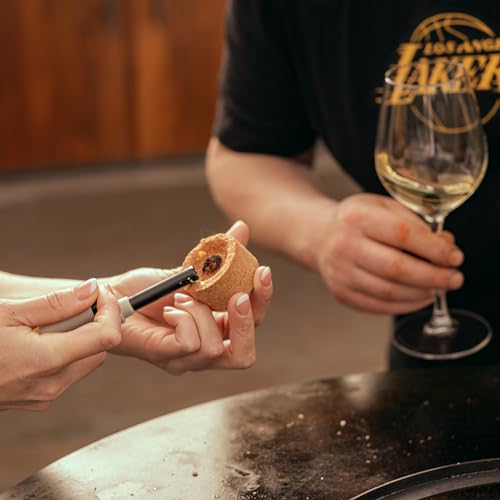 Ecolighter - Eco Anzünder - Für Green Egg, Kamado, OFYR, BBQ Plancha, Weber und mehr - Leuchtet bis zu 500 Grad für 20-25 Minuten - erleichtert das Grillen und Grillen (10 Pack, 10, Packs)