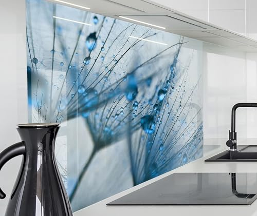 timalo Spritzschutz Wand für Herd, Küche Küchenrückwand Glasoptik | Acryl Glas 2mm | Glasrückwand Acrylglas Wandpaneele Rückwandschutz Platte | 200x58cm Blaue Pusteblumen