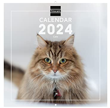 Finocam - Calendar 2024 International Wall Images January 2024 - December 2024 (12 Months) Cats International