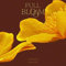 PUNCH [FULL BLOOM] 2nd Mini Album CD+Lyrics Book+Post Card K-POP SEALED+TRACKING CODE