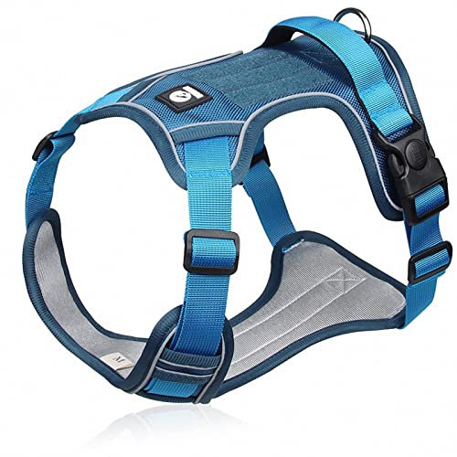 No Pull Hundegeschirr, Brustgeschirr Für Kleine, Mittlere Hunde, Reflektierend Weich Gepolstert Hunde Geschirr, Mit Einfache Kontrolle Griff Und Rückseite Perfekt,Blau,XL