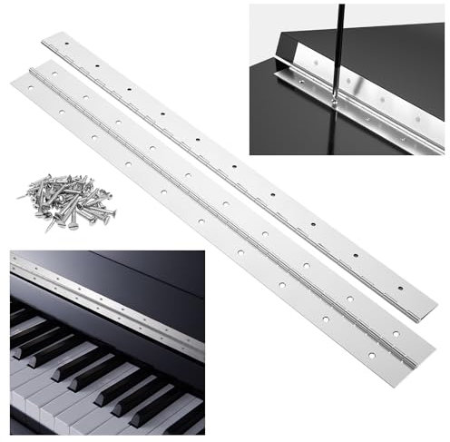 WENQUIT 2Pack Stainless Steel Polished 24-Inch Piano Hinges, Silver