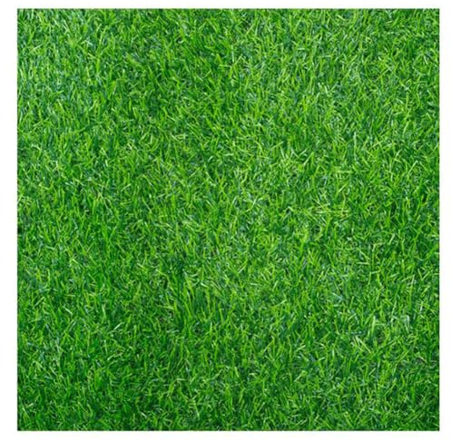 Künstliches Gras Künstlicher Gras Runner Teppich Outdoor Teppiche Falsches Gras Balkon im Freien Astro Rasen Matte Synthetischer Rasen Teppich 20mm Hochdichte Garten Rasen Teppich (Größe: 2,5x5m)