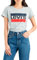 Levi's Women's The Perfect Tee- Sportswear Logo T-Shirt, Sportswear Logo Heather Grey, XS