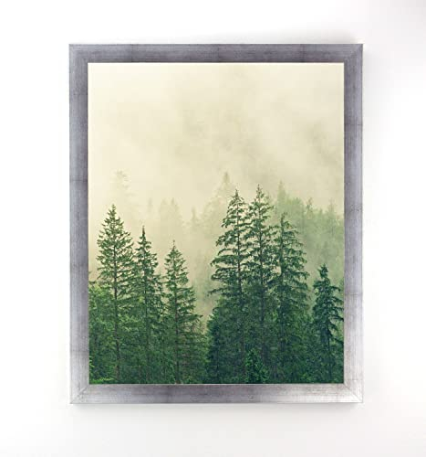Monaldo Deluxe Bilderrahmen Posterrahmen 120 x 60 cm Farbe Silber Patiniert Wechselrahmen weisser Hintergrund Antireflex Kunstglas