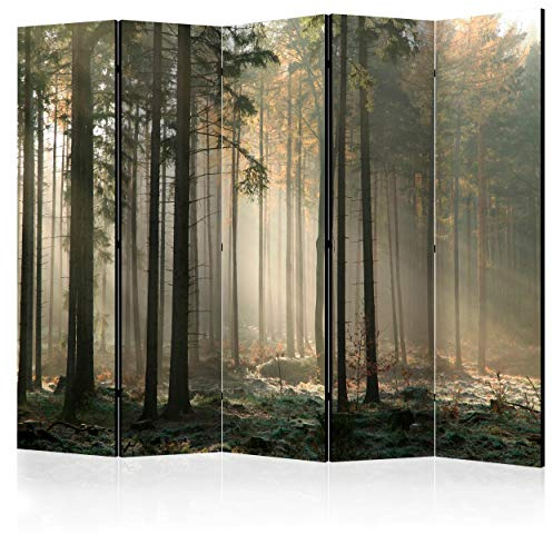 decomonkey Paravent Raumteiler Innen Wald, 225x172 cm, 5-teilig, Beidseitig | Natur, Baum, Wohnzimmer, Room Divider, Wall, Raumteiler Stehend, Trennwand, Sichtschutz, Spanische Wand, Sichtschutzwand