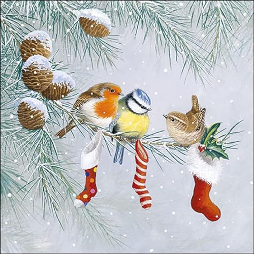 Servietten Weihnachten 20 Stück 33x33cm Motivservietten Vögel und Weihnachtssocken 3-lagig Papier mehrfarbig Tischdeko Winter