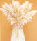 Bannifll Hierba de Pampas Natural de 46 Pulgadas de Altura con 10 Tallos Bodas, Fiestas, decoración de Estilo Granja y Boho en el hogar