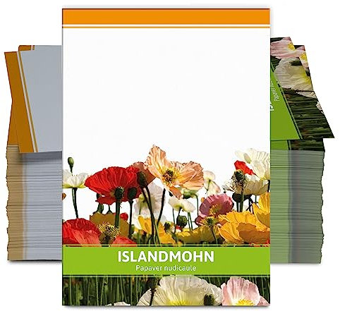 FLORTUS Islandmohn als Gastgeschenke (100 Stück) | Blumensamen als Dankeschön Geschenke, Mitgebsel & Werbegeschenke | Wildblumensamen