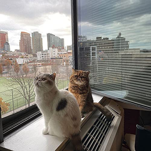 Flat Cats Window Protection for Cats Standard Twin Pack (Grey Mesh/Black Fixings, 30 x 48)