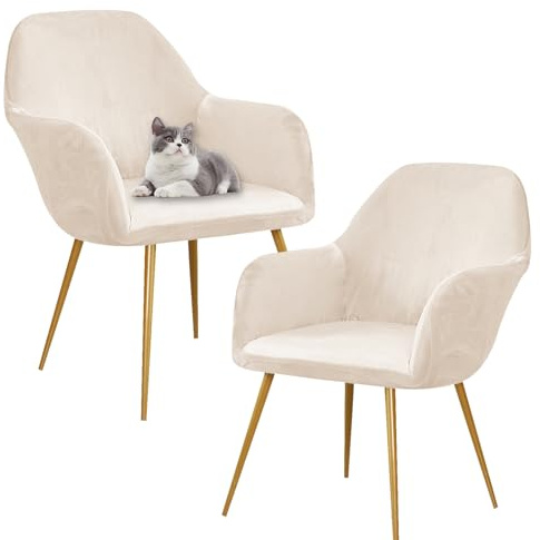SHUOJIA Dining Velvet Chair Cover 2/4/6 Set Stuhlhussen mit Armlehne Stretch Stuhlbezug Abnehmbare Waschbar Stuhl Bezug Stuhlbezüge für Esszimmer Wohnzimmer Küche (Beige,2 Pcs)