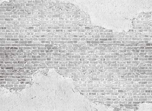 Livingwalls Vliestapete - Tapete Mauer Steinoptik Beton in Grau und Grau - Wandtapete für verschiedene Räume - Wandbild XXL 350 x 255 cm