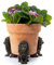 Potty Feet Lot de 3 pieds de pot de fleurs en forme de lion - Ornements décoratifs faits à la main