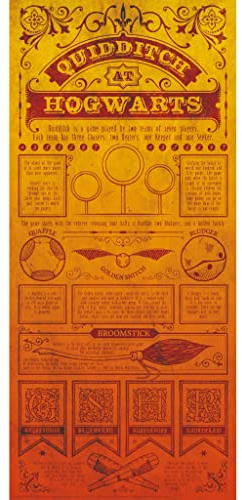 Fanattik Quidditch-Poster