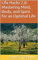 Life Hacks 2.0: Mastering Mind, Body, and Spirit for an Optimal Life (English Edition)