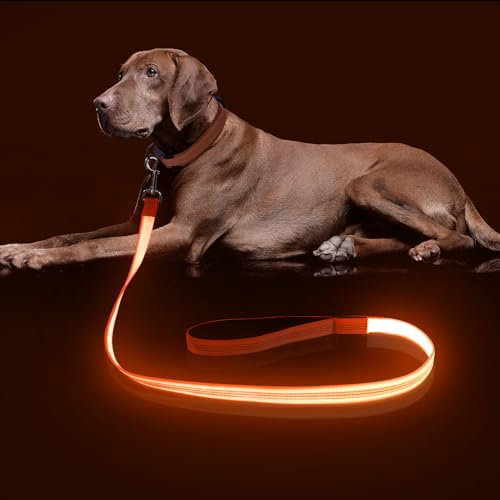 Colaseeme LED-Hundeleine, beleuchtet, Micro-USB, wiederaufladbar, Nylon-Gurtband, leuchtet Sicherheitsstandard, 120 cm, Orange, 120 cm