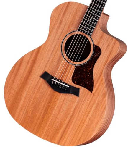 Taylor 24ce Neo-Tropical Mahogany/African Sapele Natural w/Fishman Sonitone GT-2 358