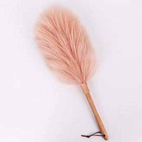ANQI Plumeau en laine d'agneau avec poignée en bois massif, flexible, bonne prise en main, antistatique, plumeau à plumes, maison, bureau, stores, meubles, fenêtre, bibliothèque, outil de nettoyage
