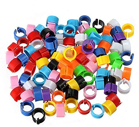 Moligin Vögel Fuß Ringe 100 Stück 8 Mm Bunte Kunststoff Bezeichnung Leg Ring Kennzeichnung Hühnerbein Ringe Für Tauben Chicks Bantam Und Lovebirds