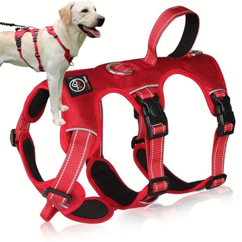 Lalazoo ELBA Sicherheitsgeschirr Hund ausbruchsicher – Verstellbares No-Pull Hundegeschirr gepolstert & reflektierend mit Griff & 6-Punkt-Verstellung – Robustes Anti-Ausbruch Geschirr – Rot, XL